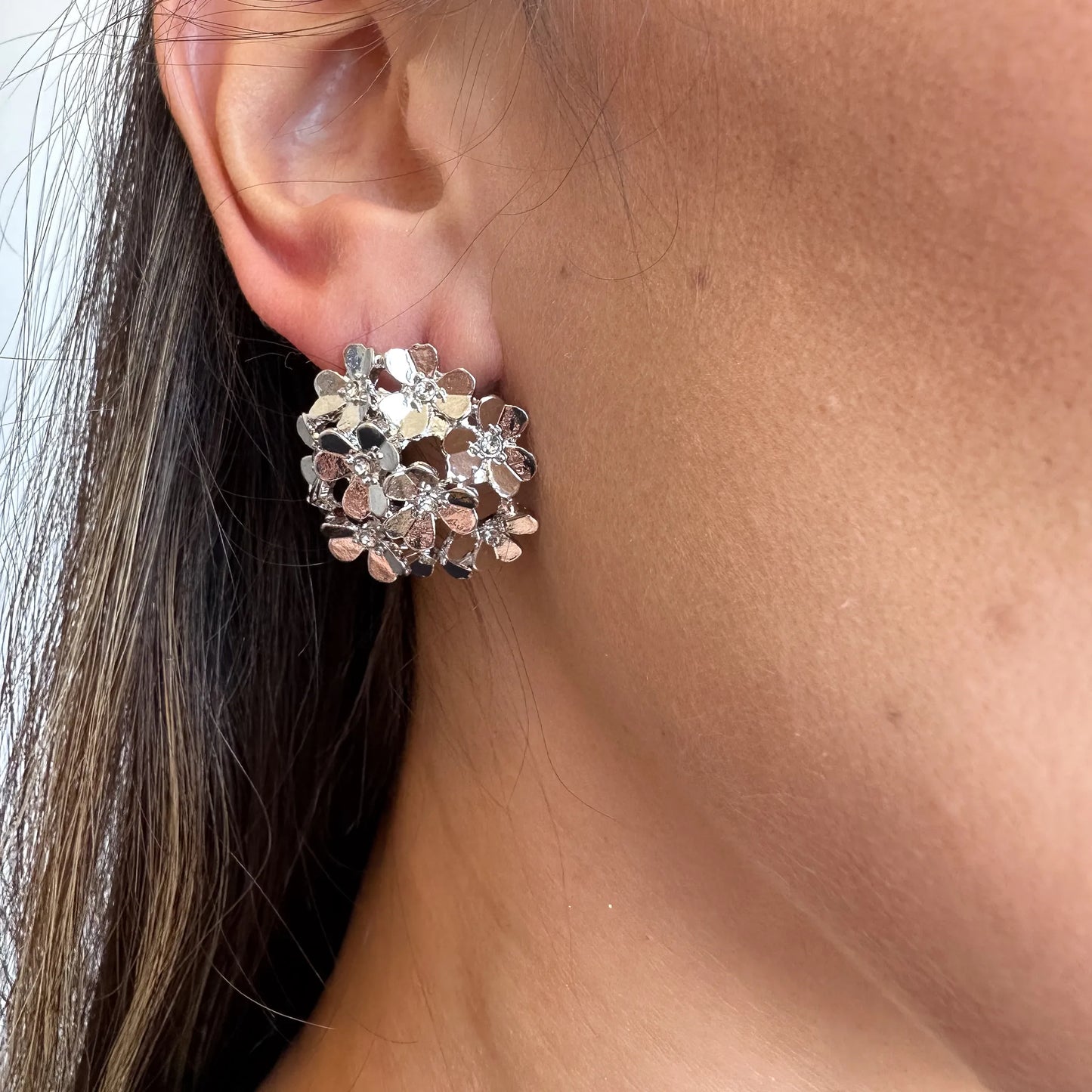 Brinco Redondo Prata